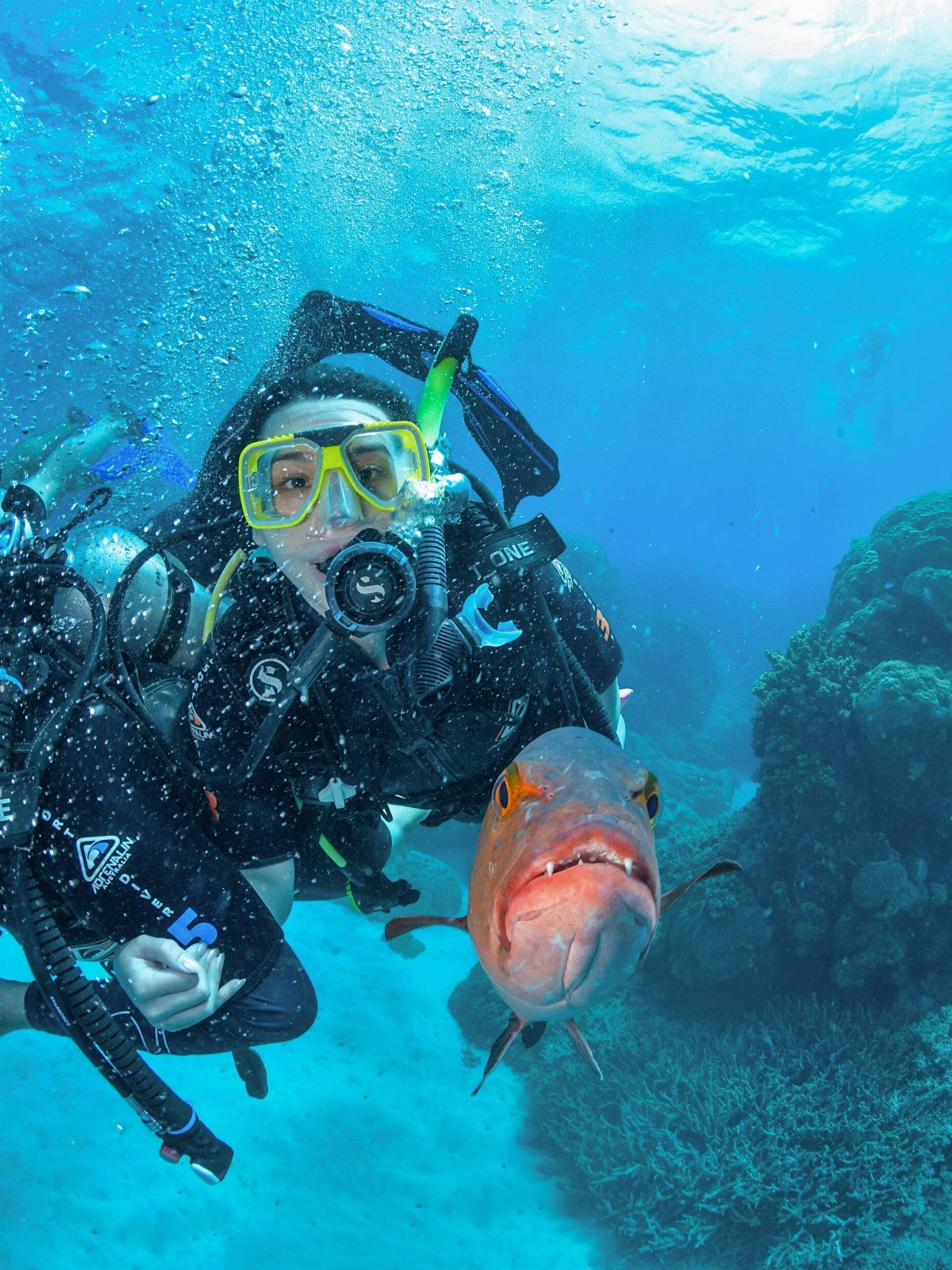 16 Adventurous Places to Travel, From Utah to Mongolia 9 Scuba diver swimming underwater with a large orange fish and coral reefs.