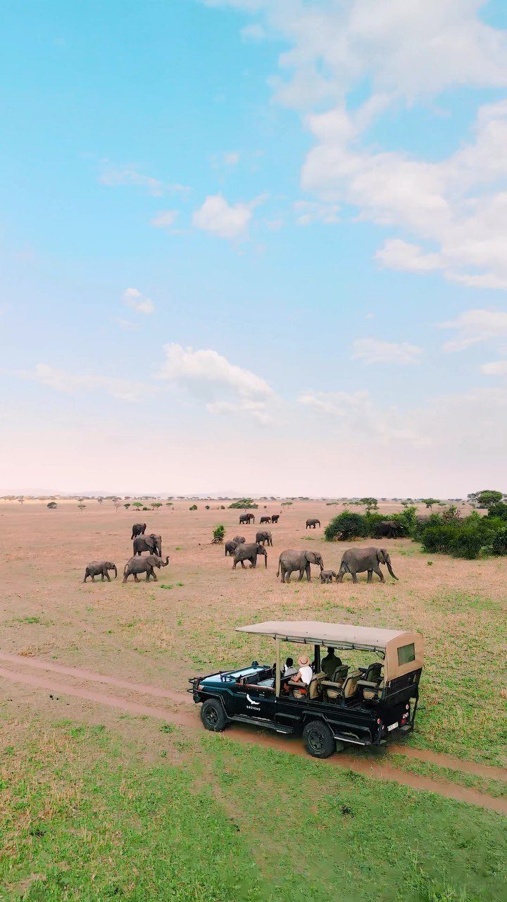 16 Adventurous Places to Travel, From Utah to Mongolia 16 Safari vehicle and passengers observing a herd of elephants in a grassy savanna