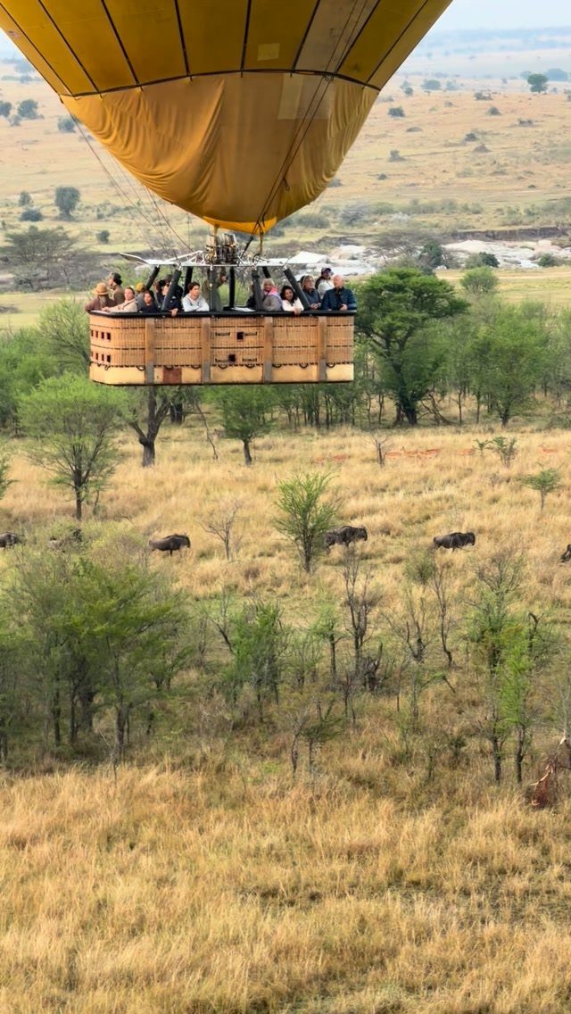 16 Adventurous Places to Travel, From Utah to Mongolia 3 Hot air balloon floating over a savanna with wildebeests grazing in golden grass.
