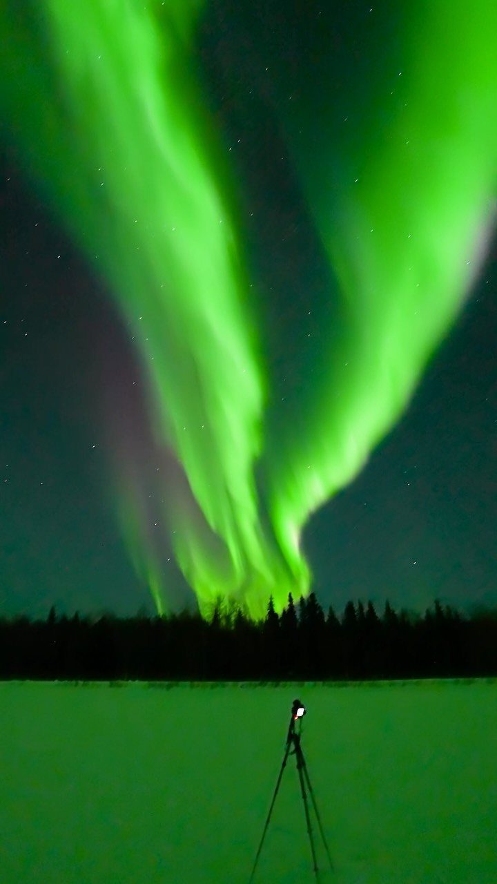 Green aurora borealis dancing over a dark forest and snowy field with a tripod.