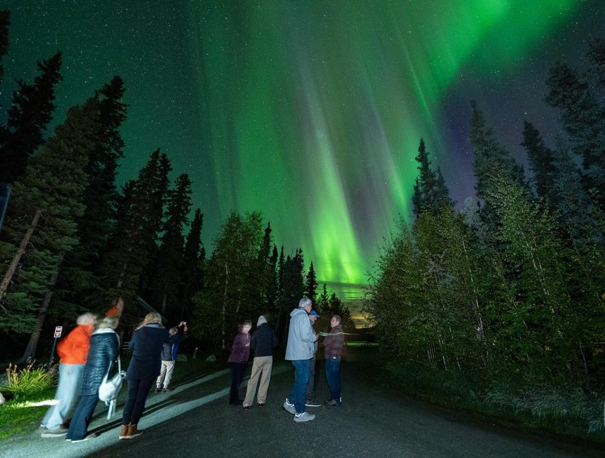 People watching vibrant green aurora borealis lights over a dark forest landscape.