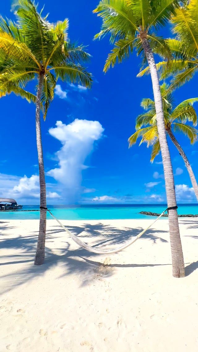 Beach Places to Travel: 13 Ideas for Your Next Trip 4 White hammock between palm trees on a white sand beach with turquoise water.