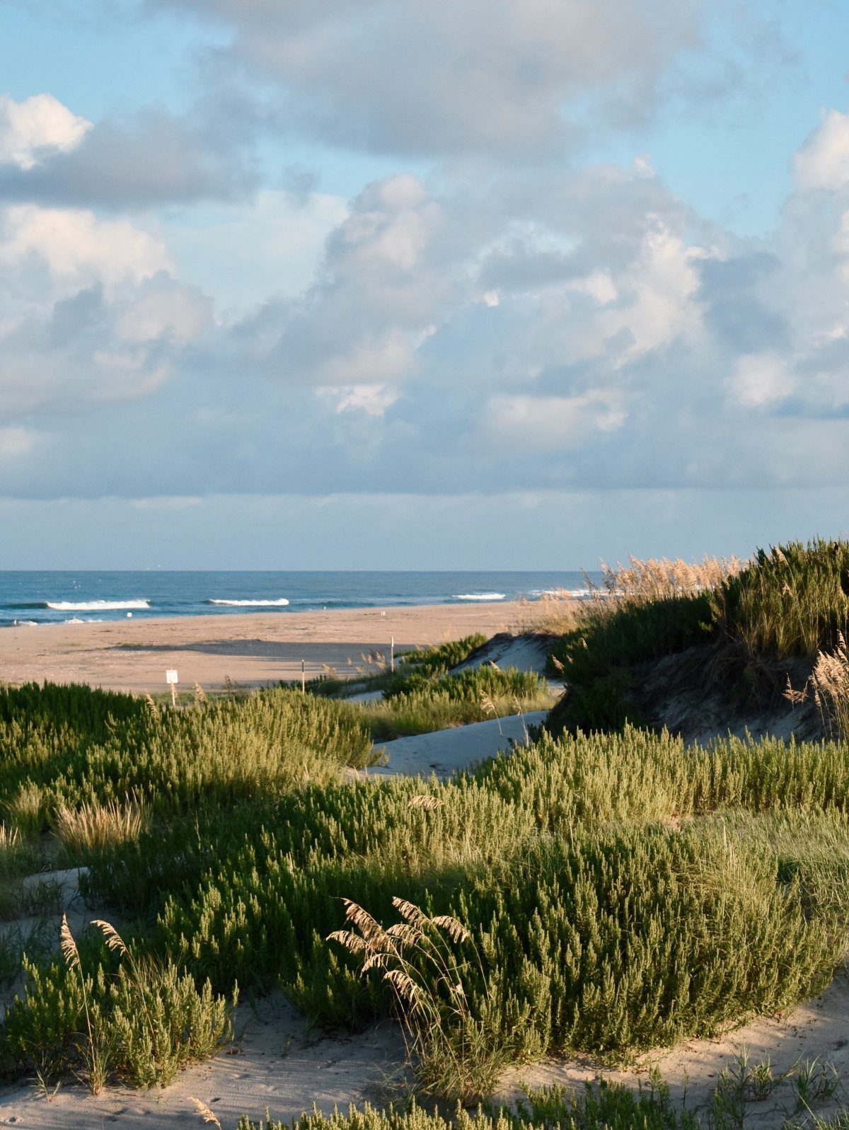 6 Beach Places to Visit, From Cape May to the Kona Coast 1 Sandy beach with green coastal dunes and shrubs under a cloudy blue sky.