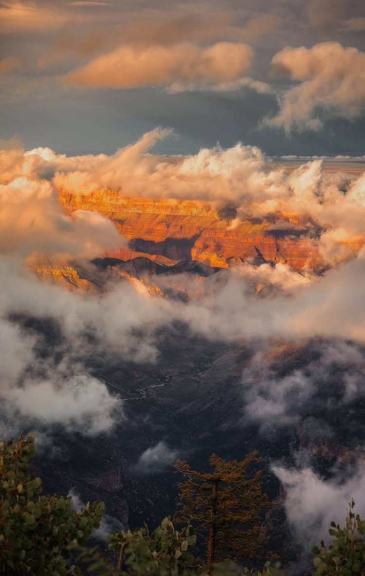 Grand Canyon red rock formations emerging from a sea of white and golden clouds.