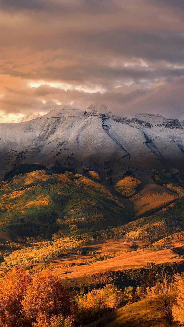 Snow-capped mountain peak overlooking a valley of golden autumn trees under cloudy skies.