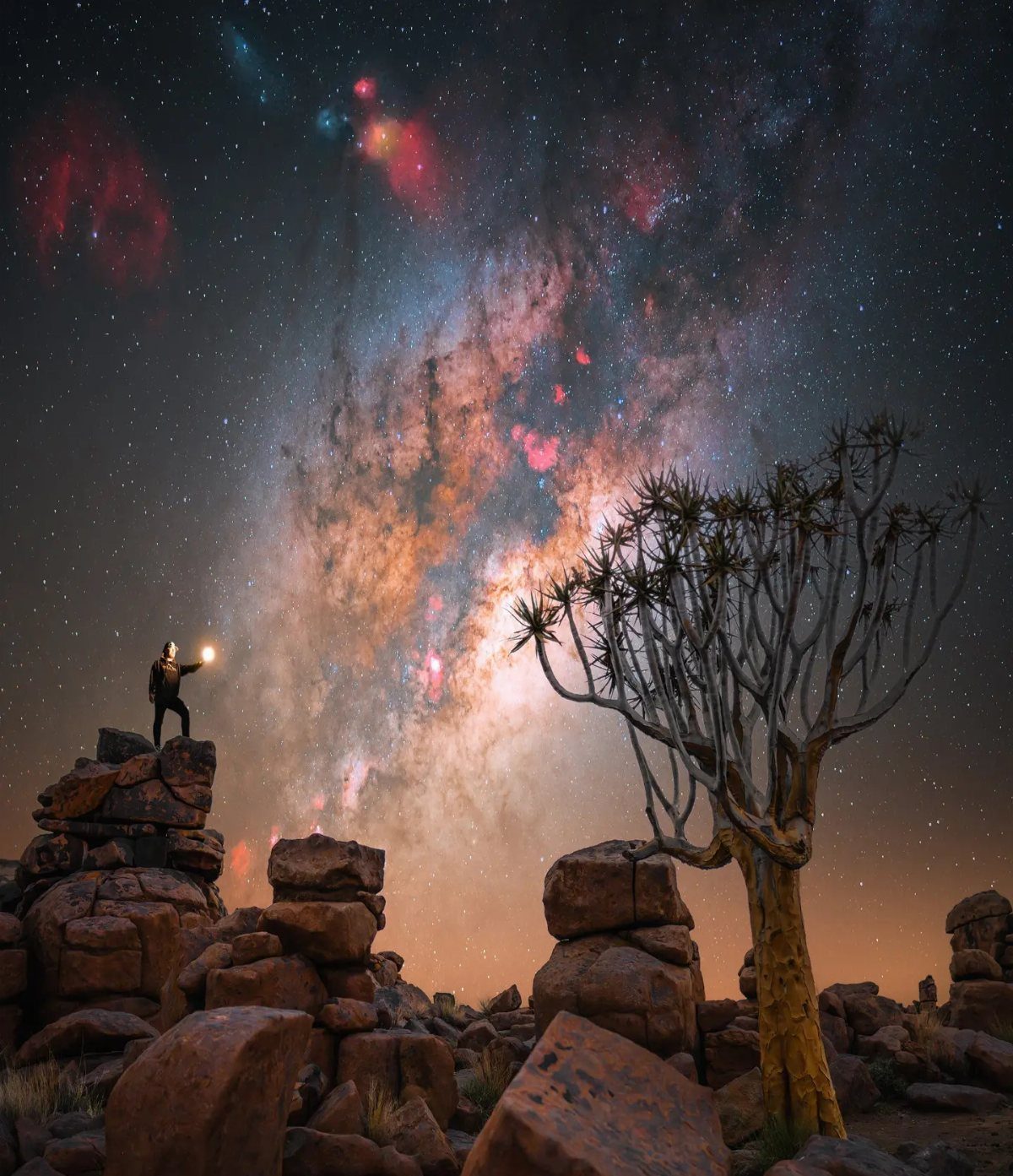 Person with light and a quiver tree under a colorful starry nebula sky