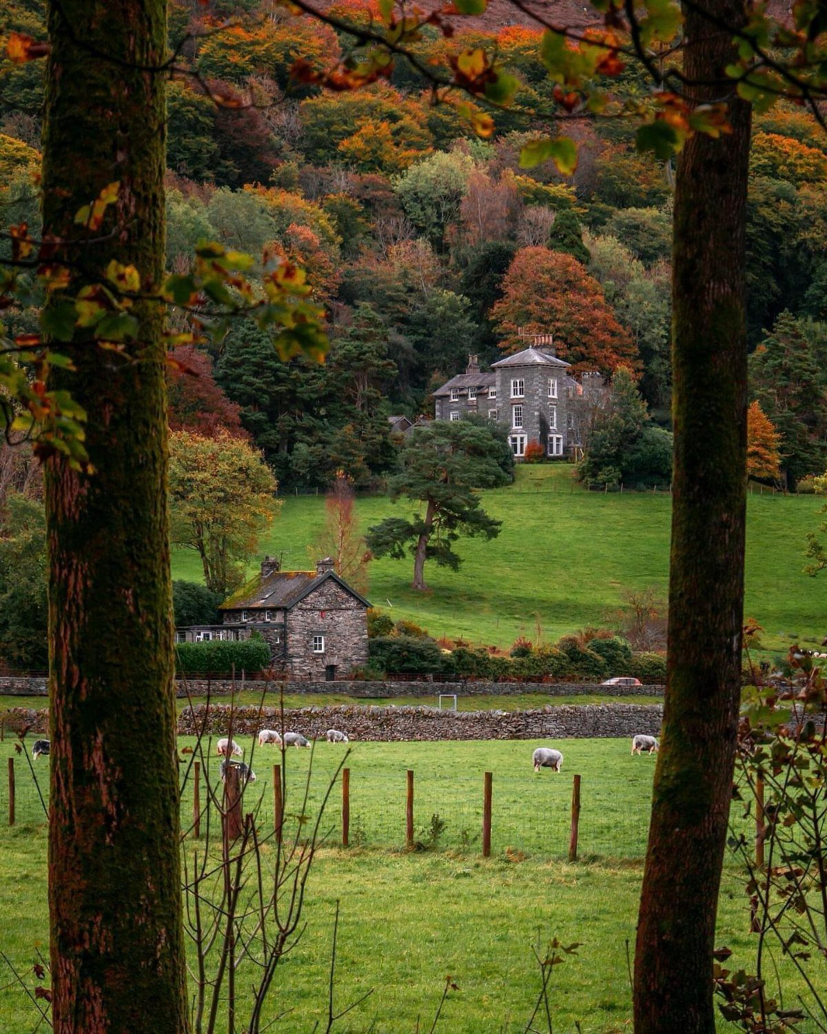28 Beautiful Places to Travel Around the World 24 Stone houses nestled in autumn forests and green hills framed by tree trunks.