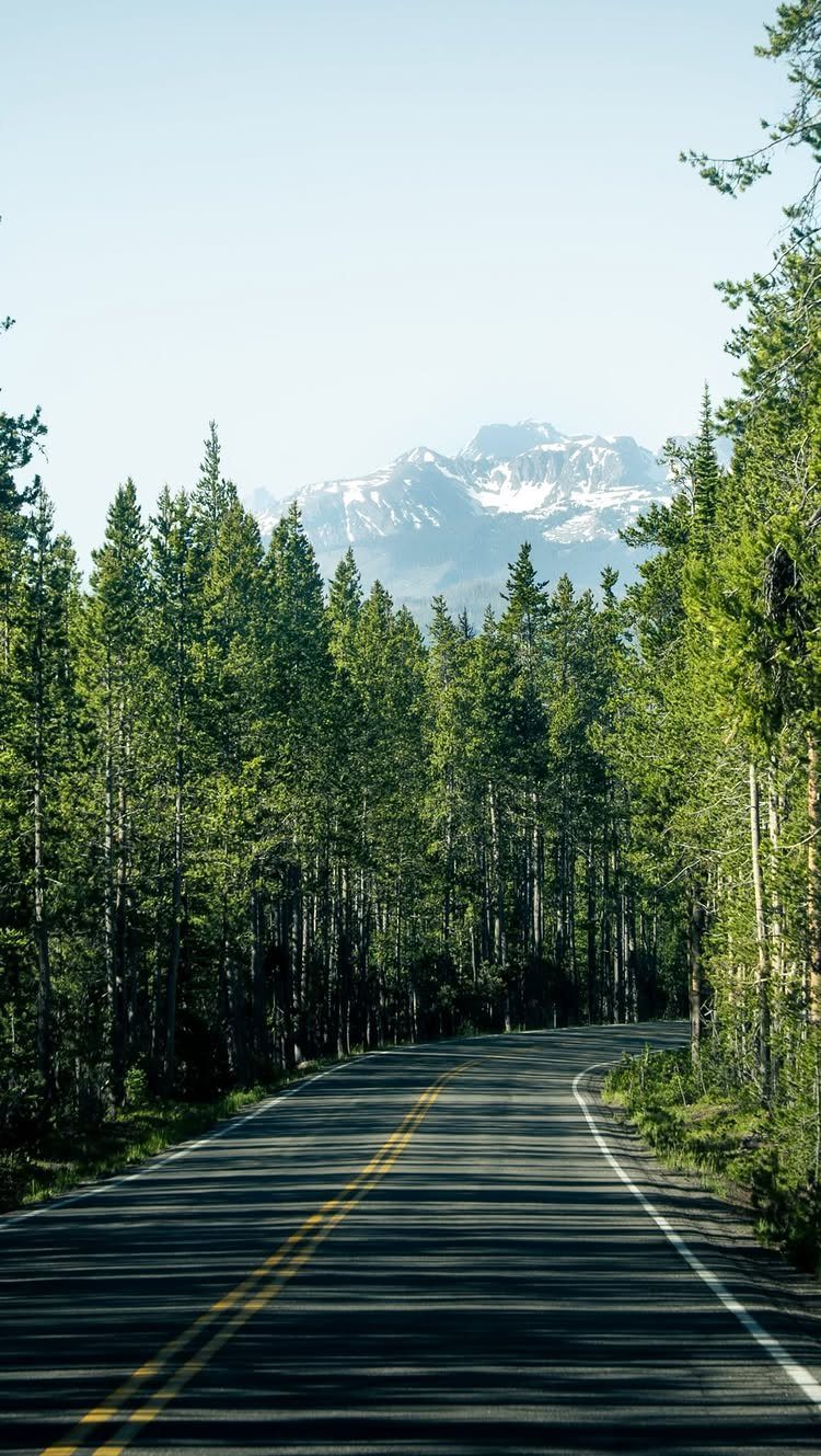 28 Beautiful Places to Travel Around the World 19 Winding road through a green pine forest leading toward a snowy mountain peak.