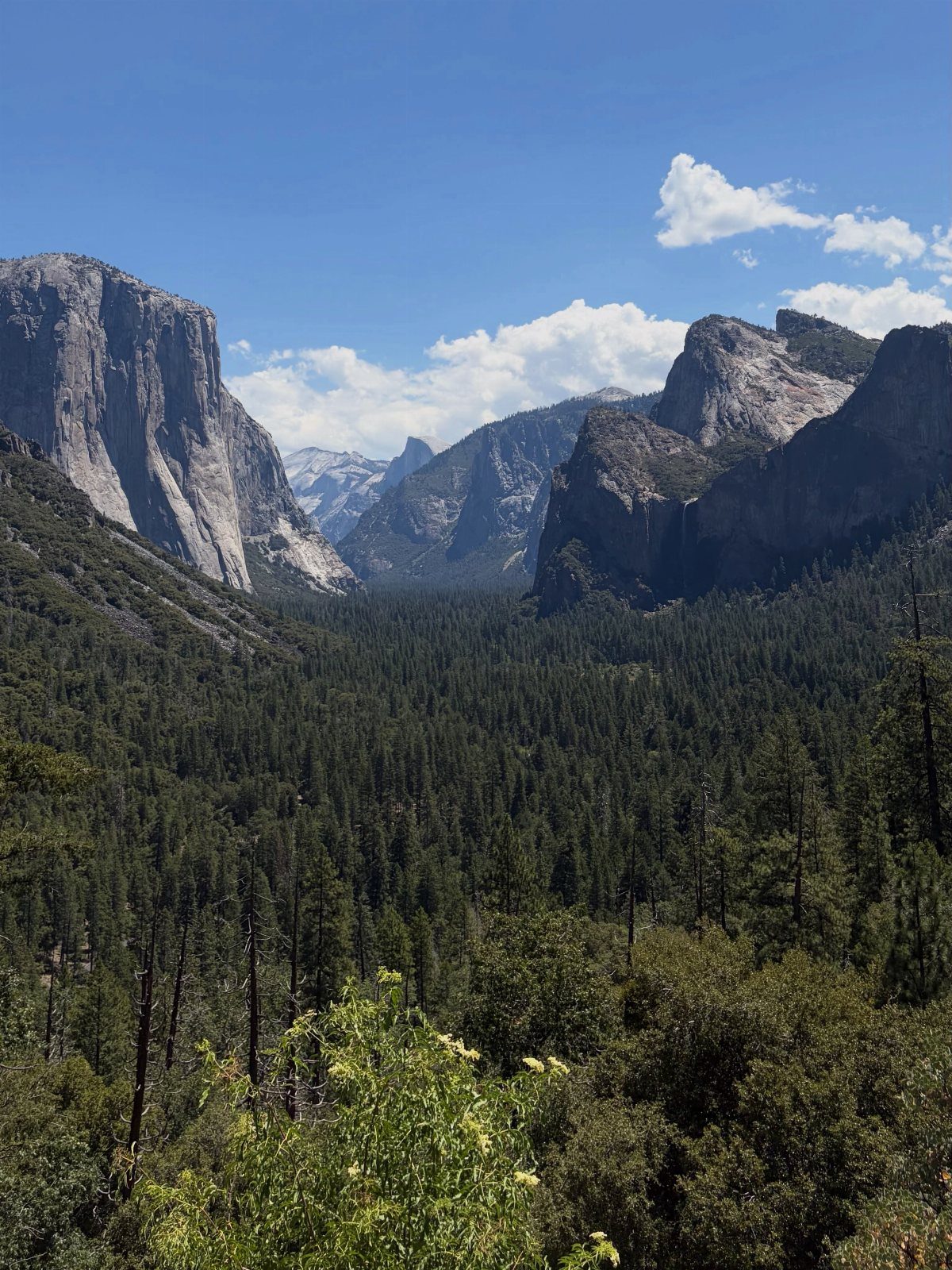 Bucket List Travel Destinations in the USA: 33 Ideas 15 Granite cliffs and a lush green forest valley under a bright blue sky.