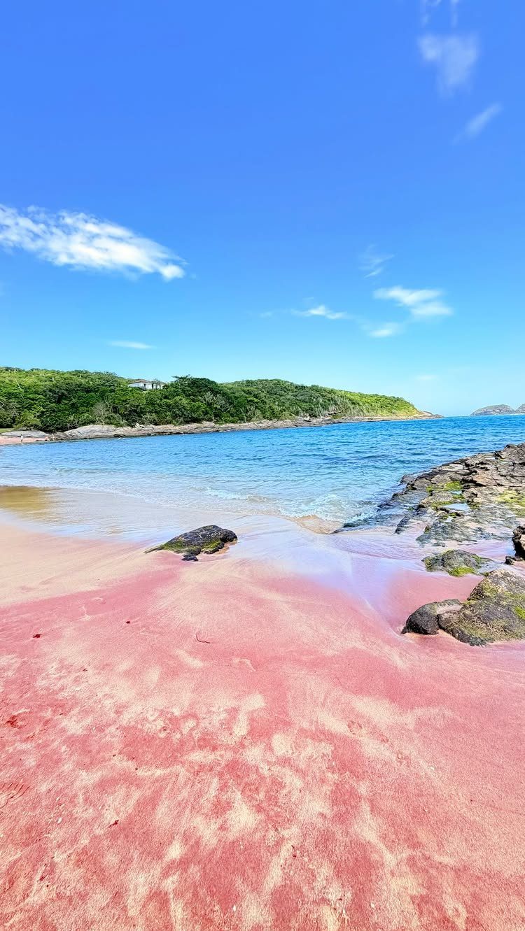 Pink sand beach with turquoise ocean water and green forested hills under blue sky