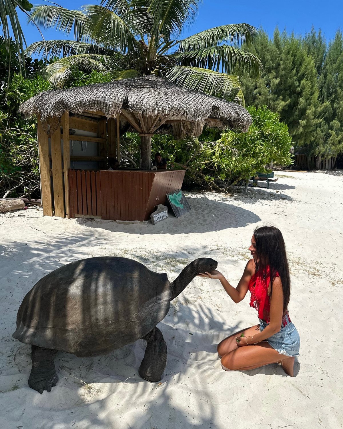 Woman kneeling on a white sandy beach interacting with a giant tortoise.