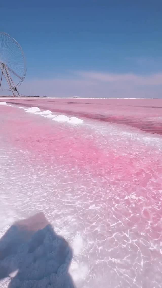 Pink salt lake water with white crystalline edges and a distant Ferris wheel.