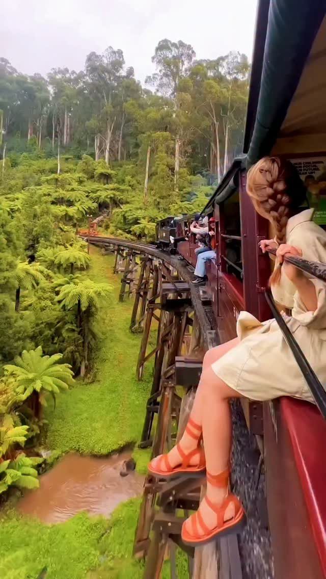 Woman sitting on a red vintage train crossing a bridge through a lush forest