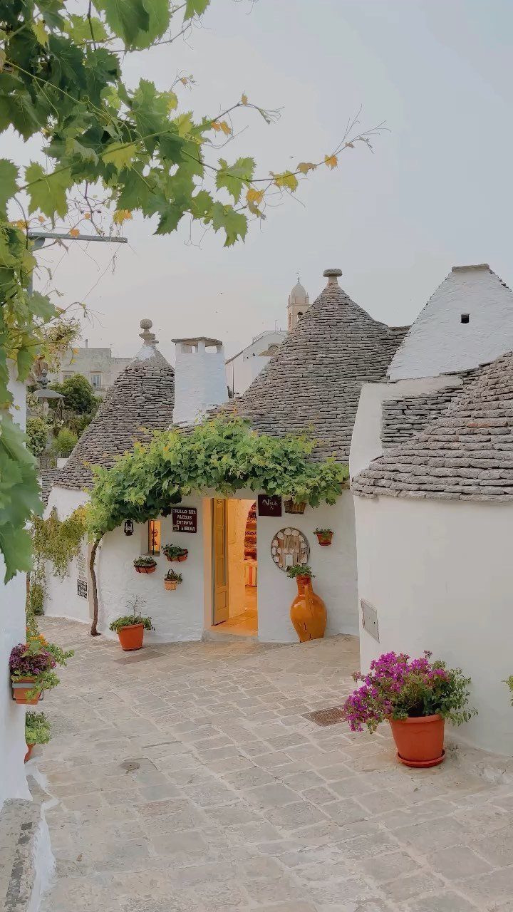 White buildings with conical stone roofs and potted flowers along a stone path.