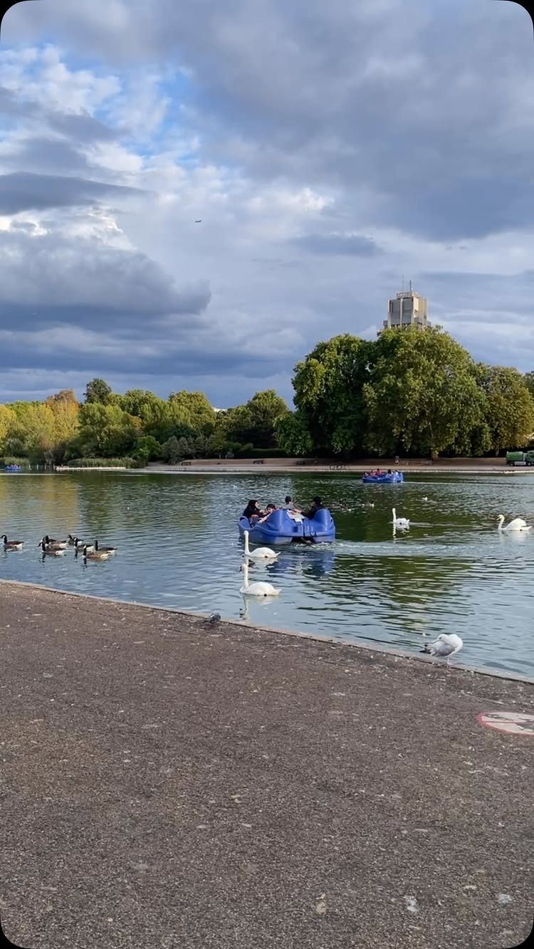 People in blue pedal boats on a lake with swans and green trees.