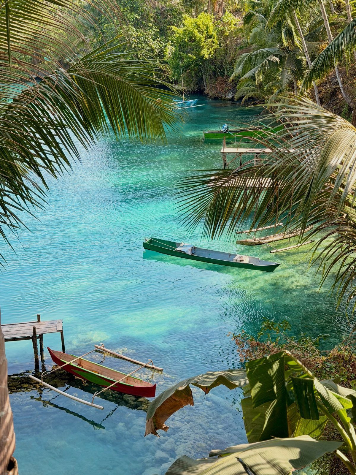 Turquoise tropical lagoon with wooden outrigger boats framed by lush green palm leaves