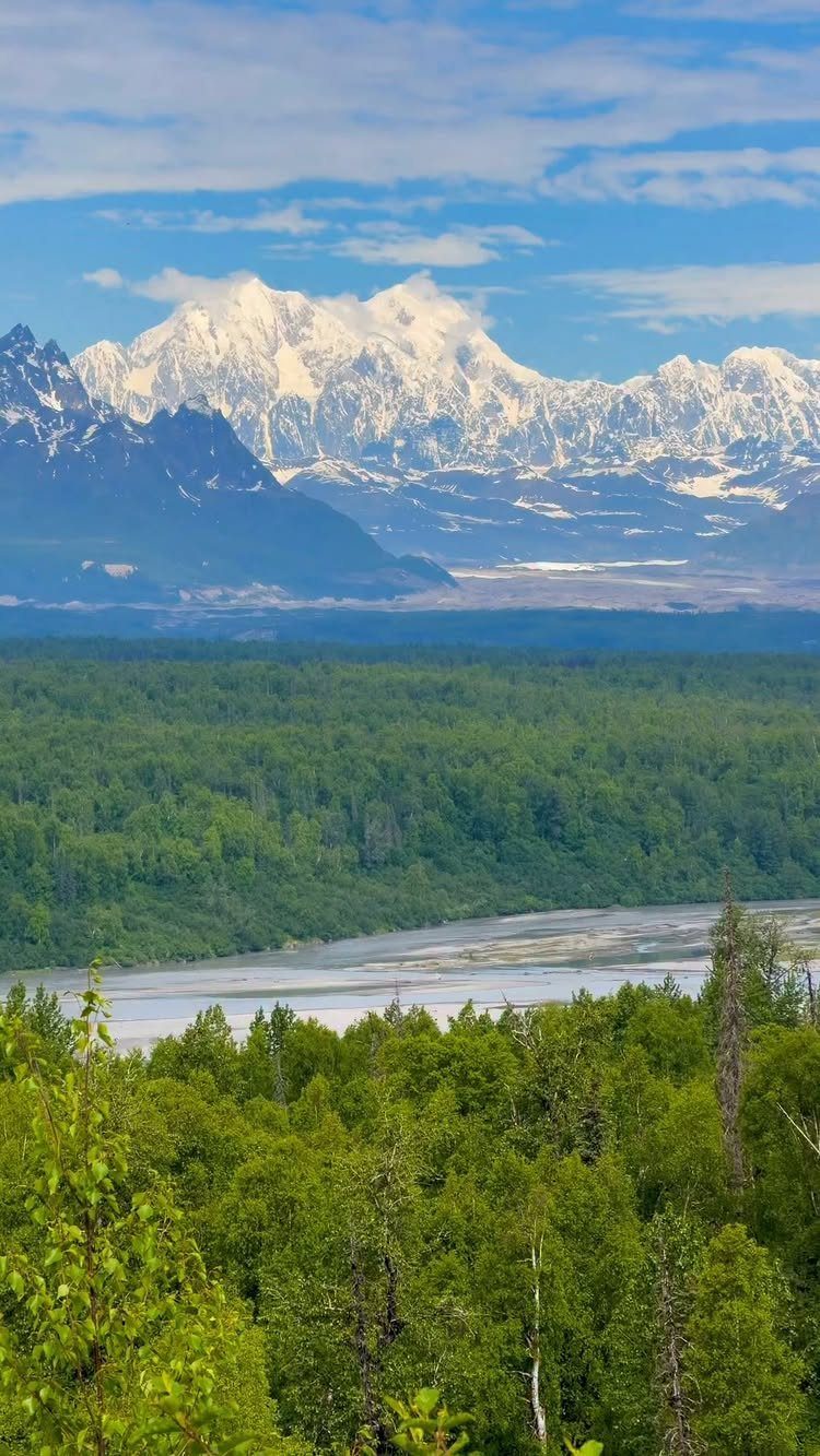 Snow-capped mountains towering over a green forest and a winding river valley.