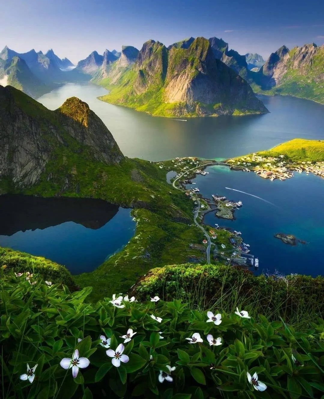 Coastal village surrounded by steep green mountains and deep blue water with white flowers.