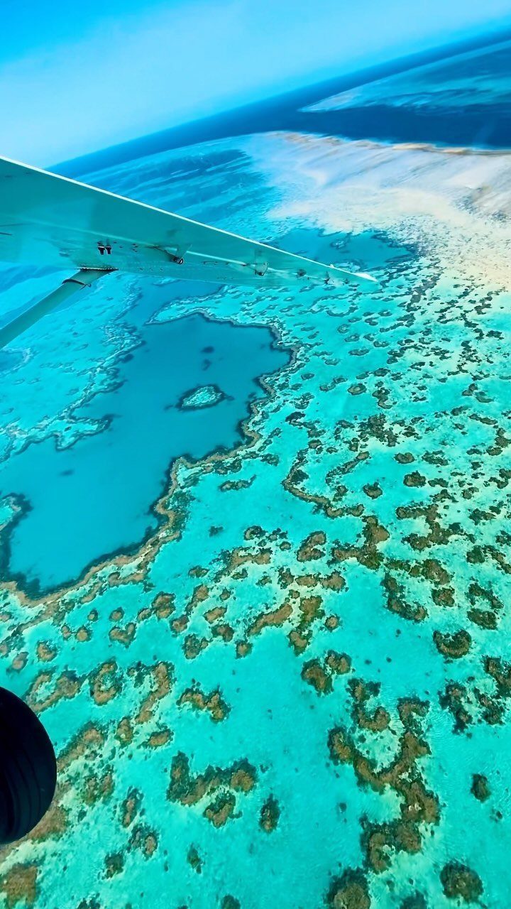 Turquoise coral reef system viewed from an airplane wing over clear blue water.