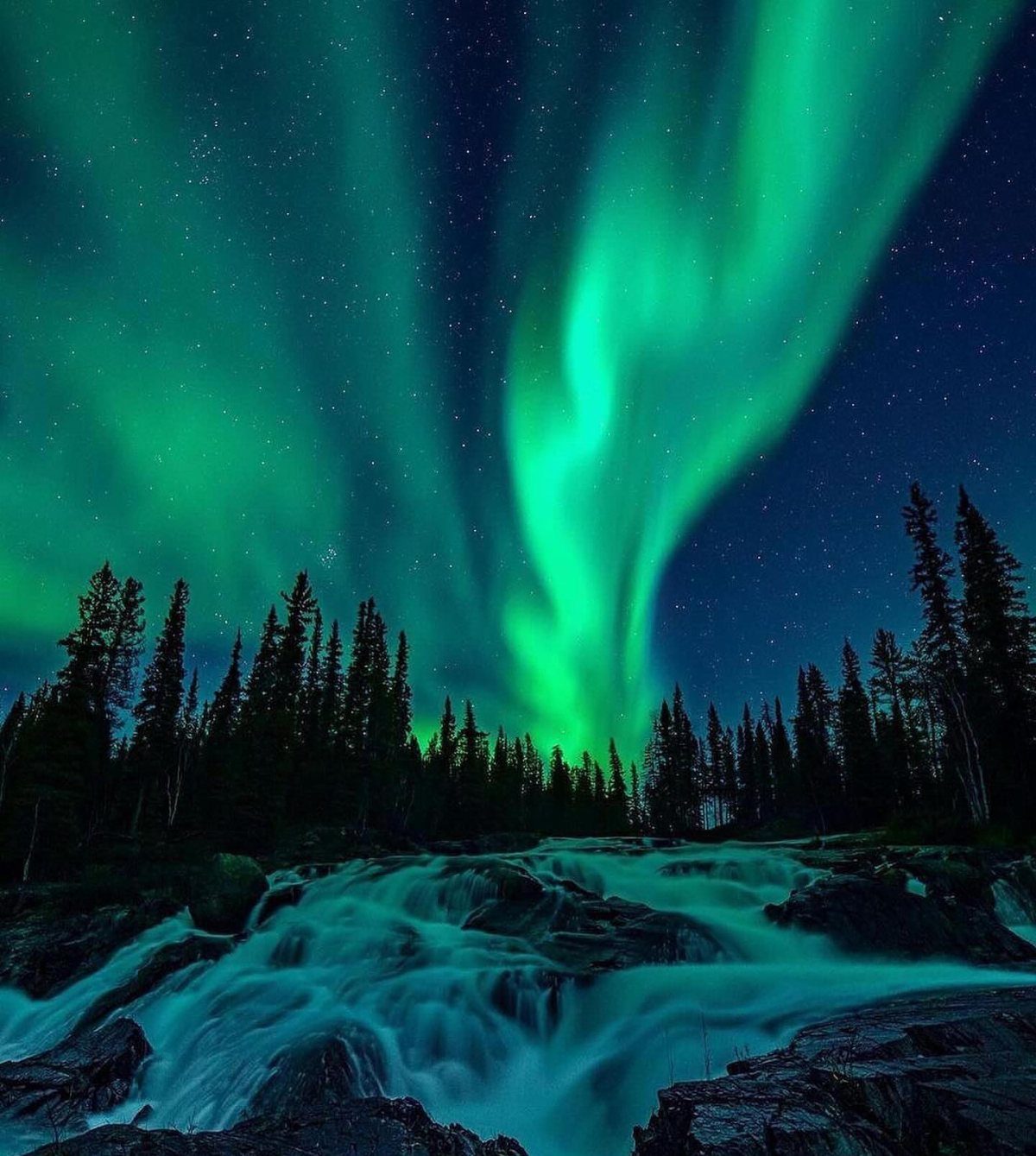 Green aurora borealis illuminating a starry night sky over a forest and river.