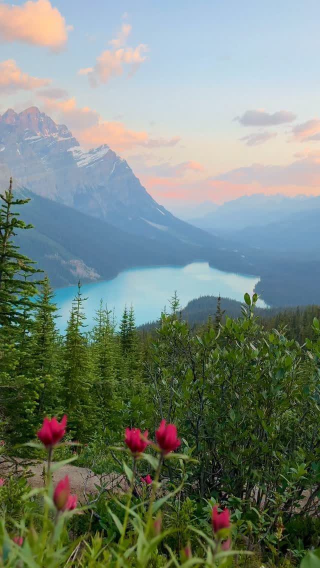 Turquoise lake surrounded by rocky mountains and green forests under a sunset sky