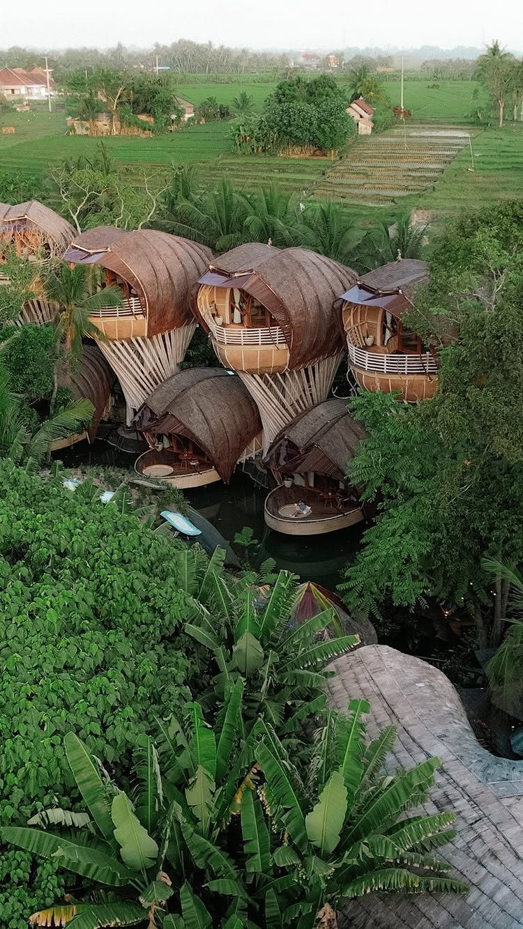 Bamboo villas with curved roofs surrounded by tropical greenery and rice terraces.
