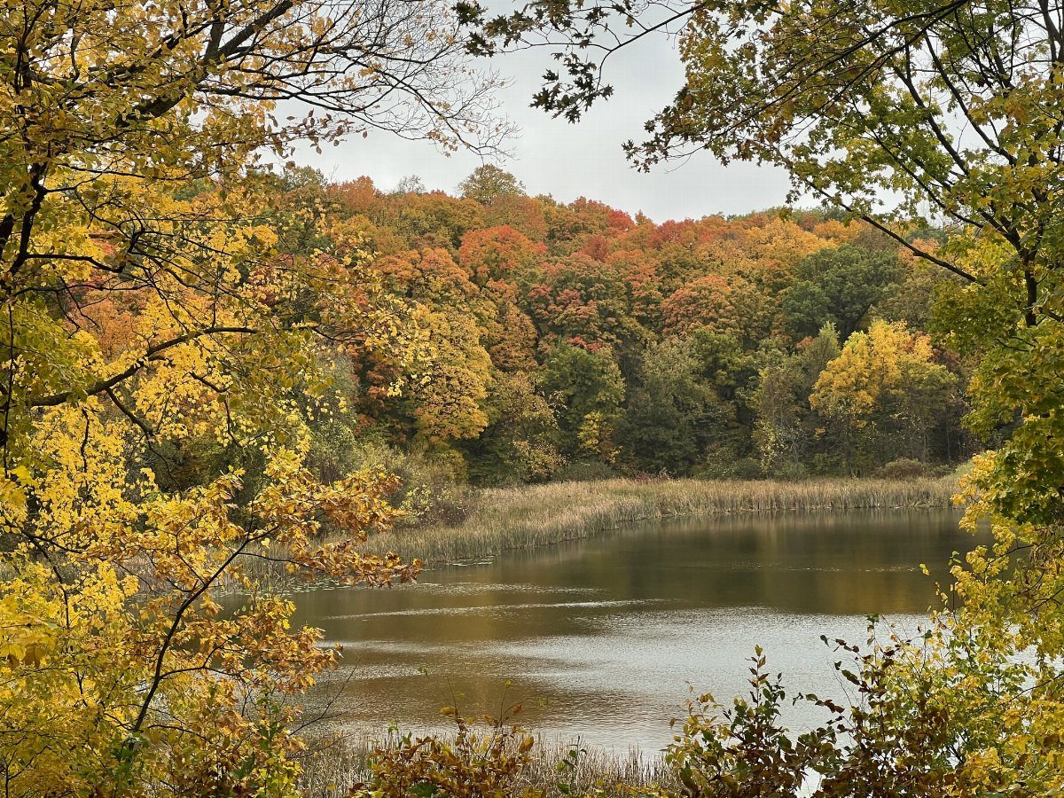 Nature Places to Visit: 19 Parks, Gardens and Overlooks 17 Autumn forest with colorful yellow and red trees surrounding a calm lake.