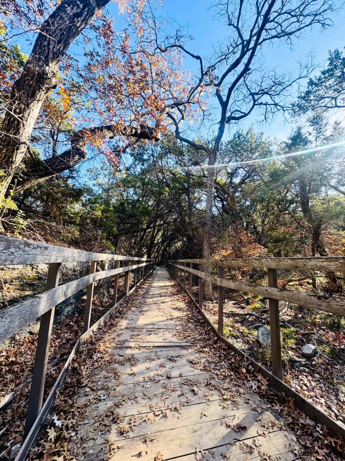 Nature Places to Visit: 19 Parks, Gardens and Overlooks 7 Wooden boardwalk path winding through a forest with autumn leaves and blue sky