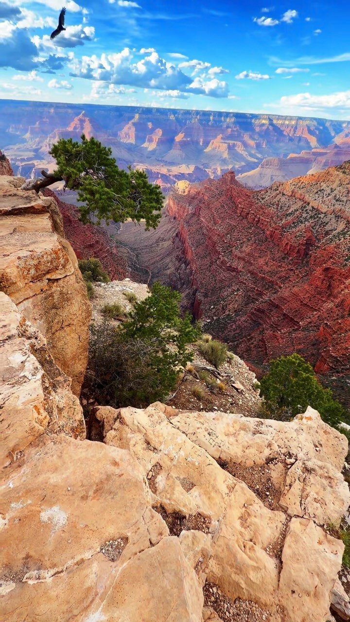 Nature Places to Visit: 19 Parks, Gardens and Overlooks 18 Grand Canyon red rock formations under a blue sky with a flying bird.