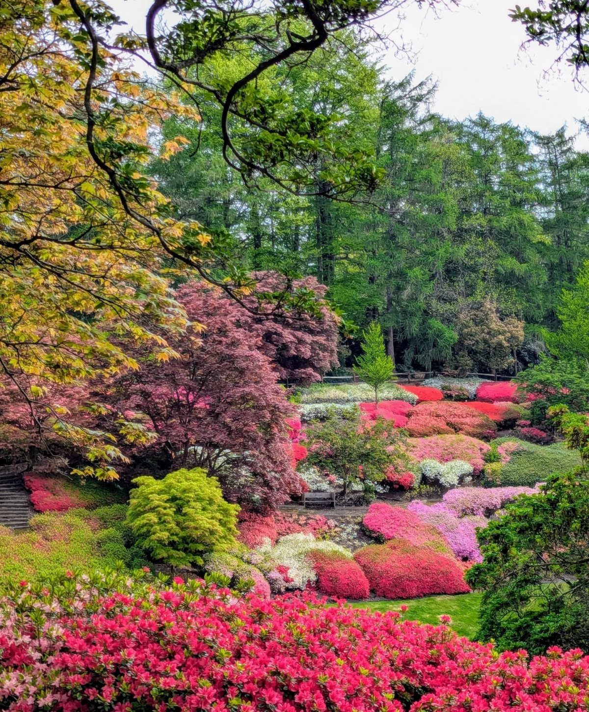 Nature Places to Visit: 19 Parks, Gardens and Overlooks 3 Vibrant red and pink flowering shrubs in a lush, manicured botanical garden landscape.