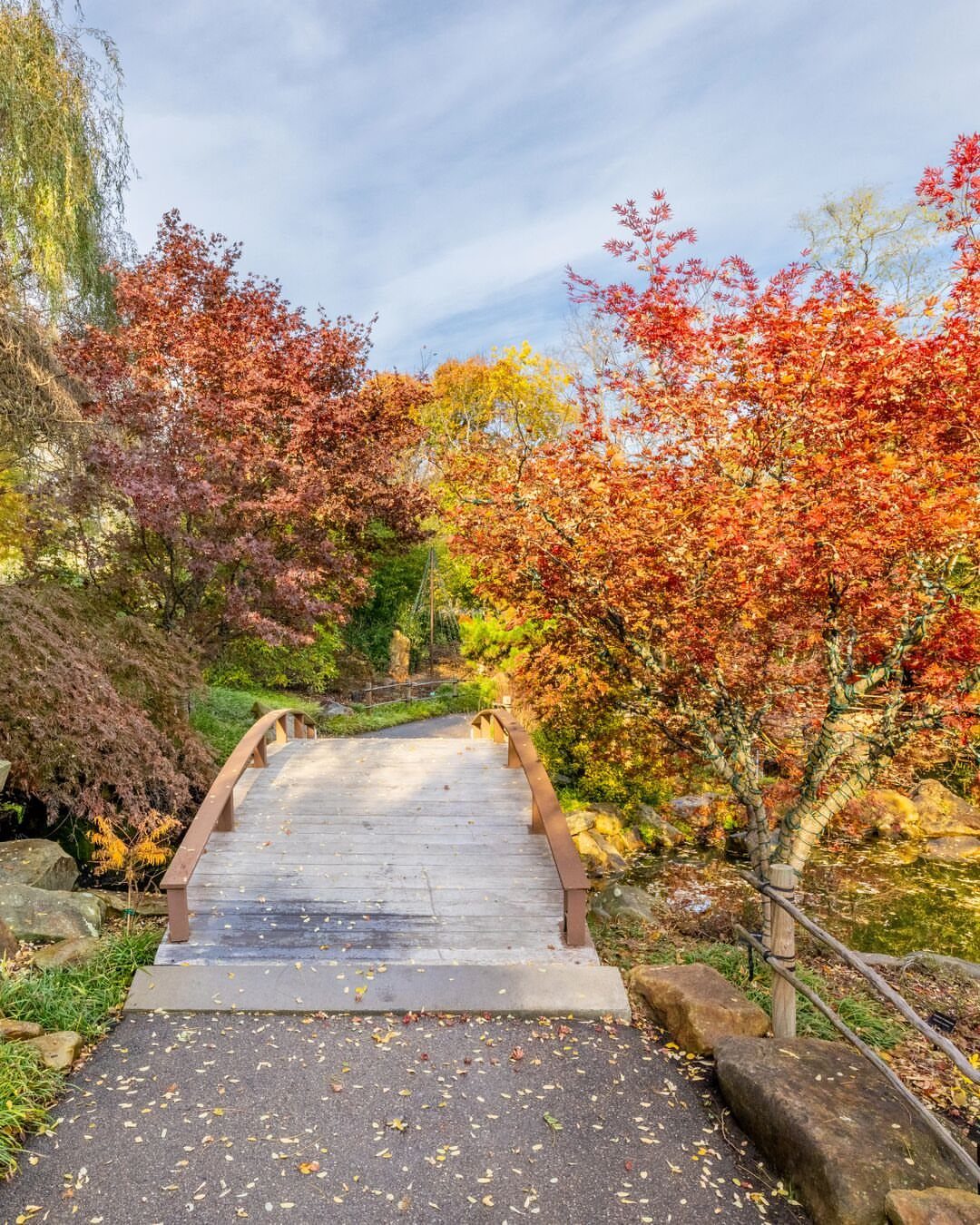 Nature Places to Visit: 19 Parks, Gardens and Overlooks 2 Wooden bridge crossing a stream surrounded by vibrant red and orange autumn trees.
