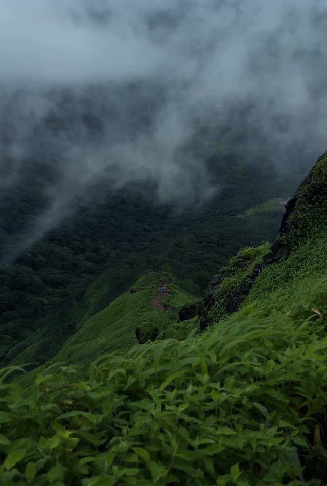 Nature Places to Visit: 19 Parks, Gardens and Overlooks 19 Foggy green mountains with dense vegetation and clouds covering the valley
