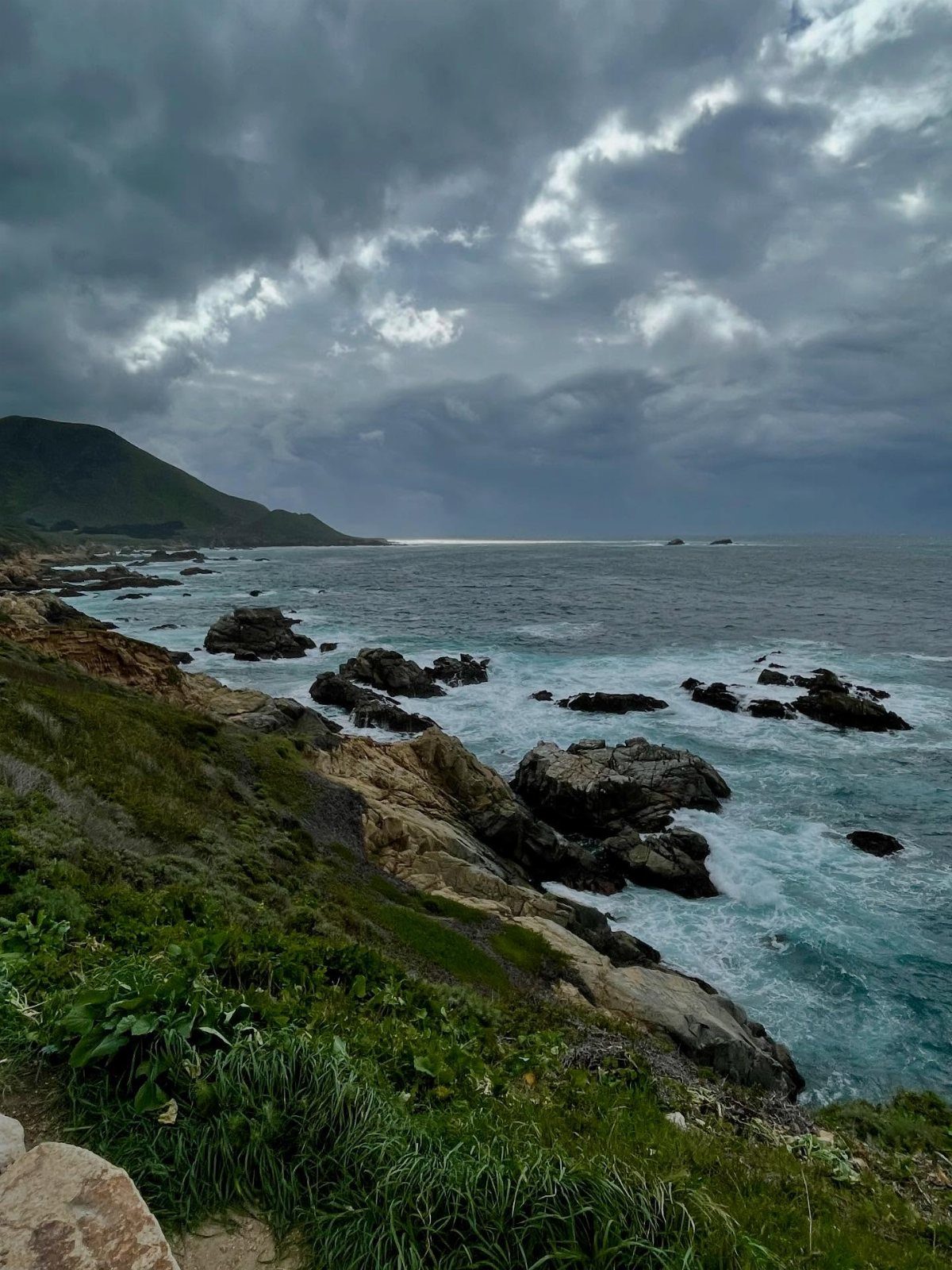 Nature Places to Visit: 19 Parks, Gardens and Overlooks 16 Rocky coastline with green grass meeting a blue ocean under a cloudy sky.