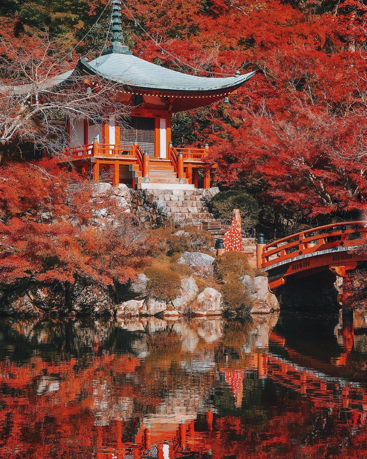 12 November Trip Ideas for Warm Beaches and Fall Color 4 Japanese temple with red autumn leaves and a red bridge reflecting in water