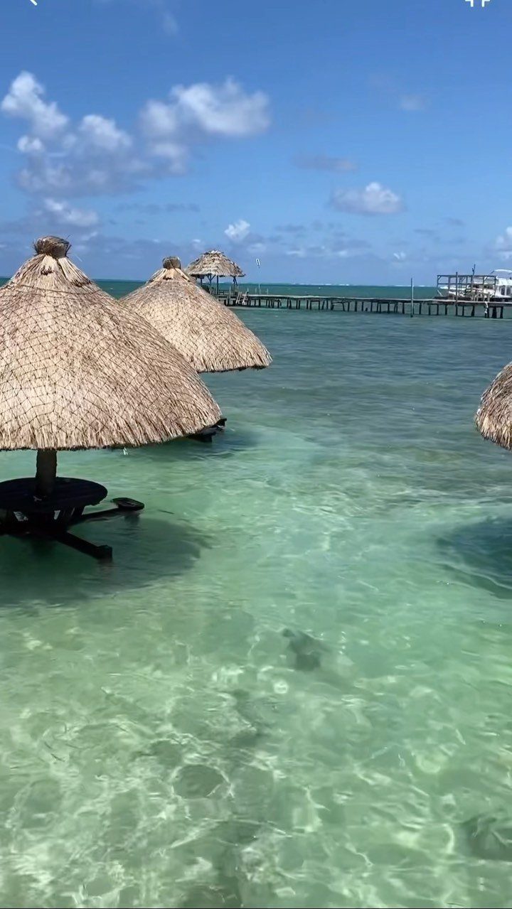 12 Places Like Bora Bora for Island Views and Lagoons 5 Thatched umbrellas in clear turquoise water with a wooden pier in the distance.