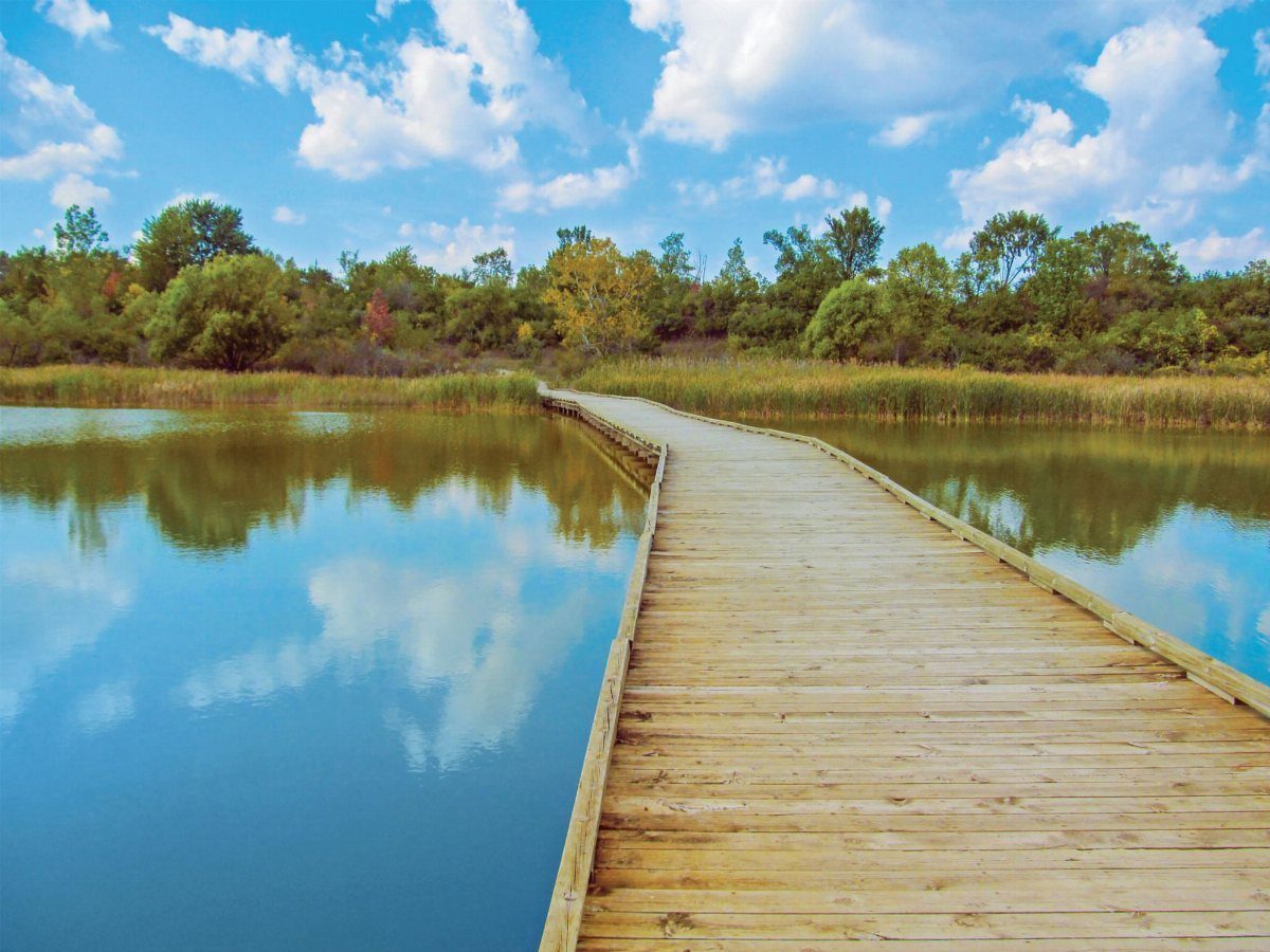Wooden boardwalk curving through calm water reflecting a blue sky and green trees.