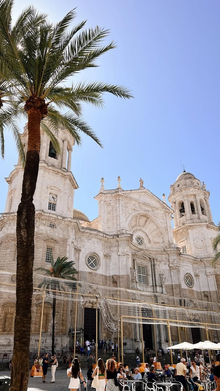 White stone cathedral with towers and palm trees in a sunny European plaza.