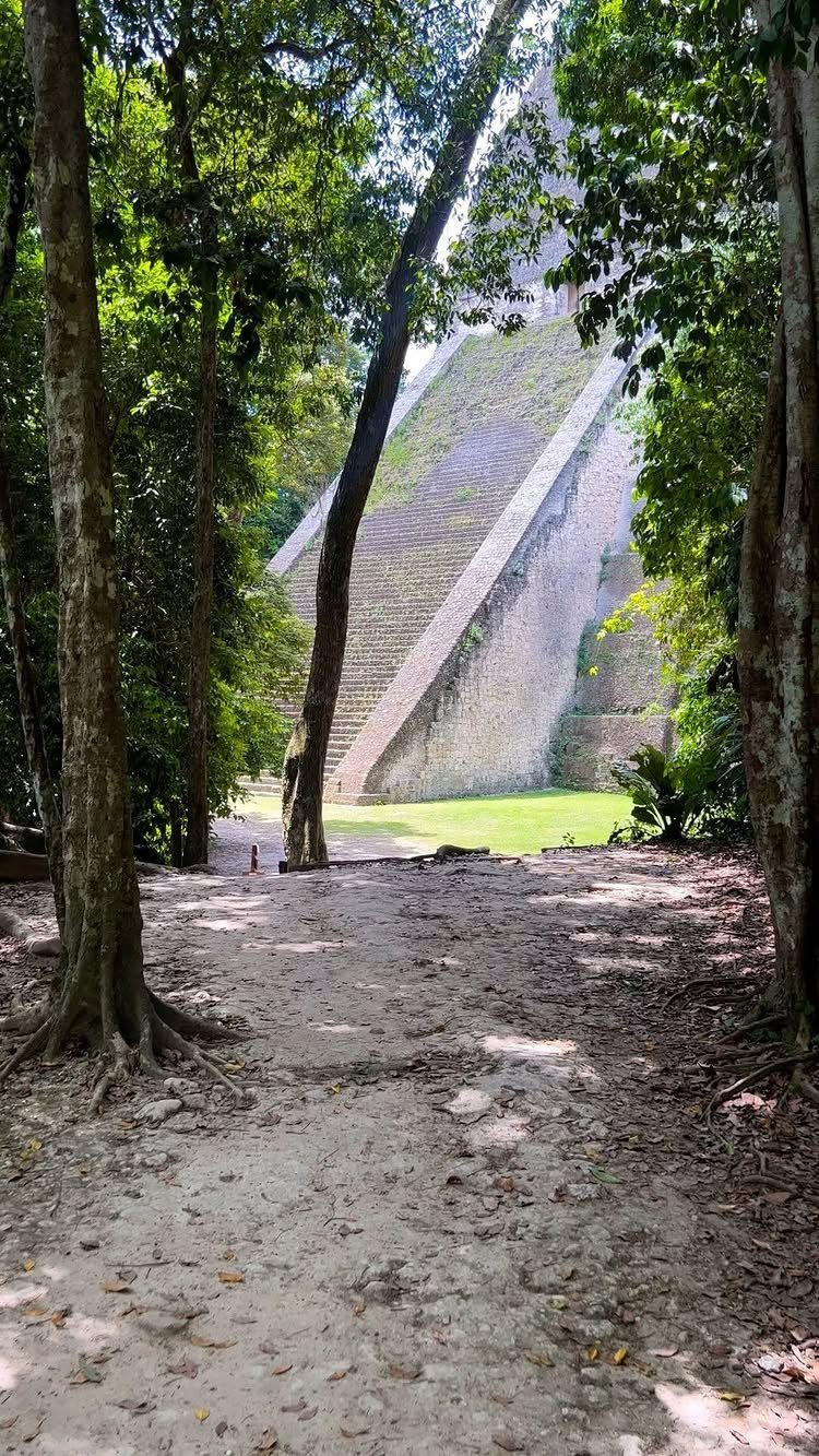 Ancient stone pyramid seen through a forest path with tall green trees.