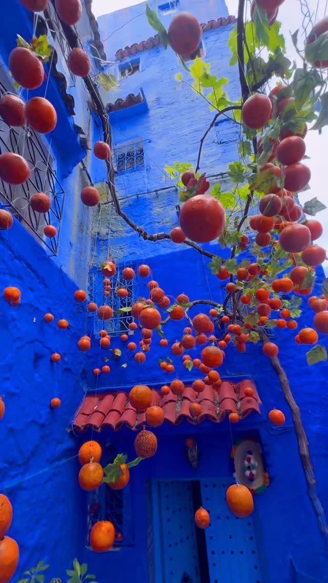 Places to Visit Around the World: 23 Ideas With Photos 9 Blue buildings in Chefchaouen with red ornaments hanging from a tree branch.