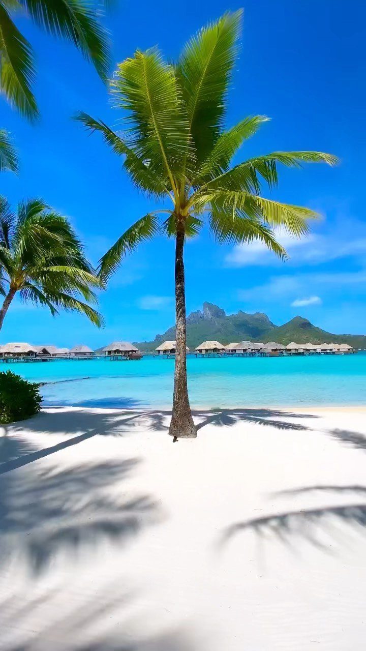 Prettiest Place to Visit: 21 Ideas Around the World 11 Tropical beach with white sand, palm trees, and overwater bungalows in Bora Bora.