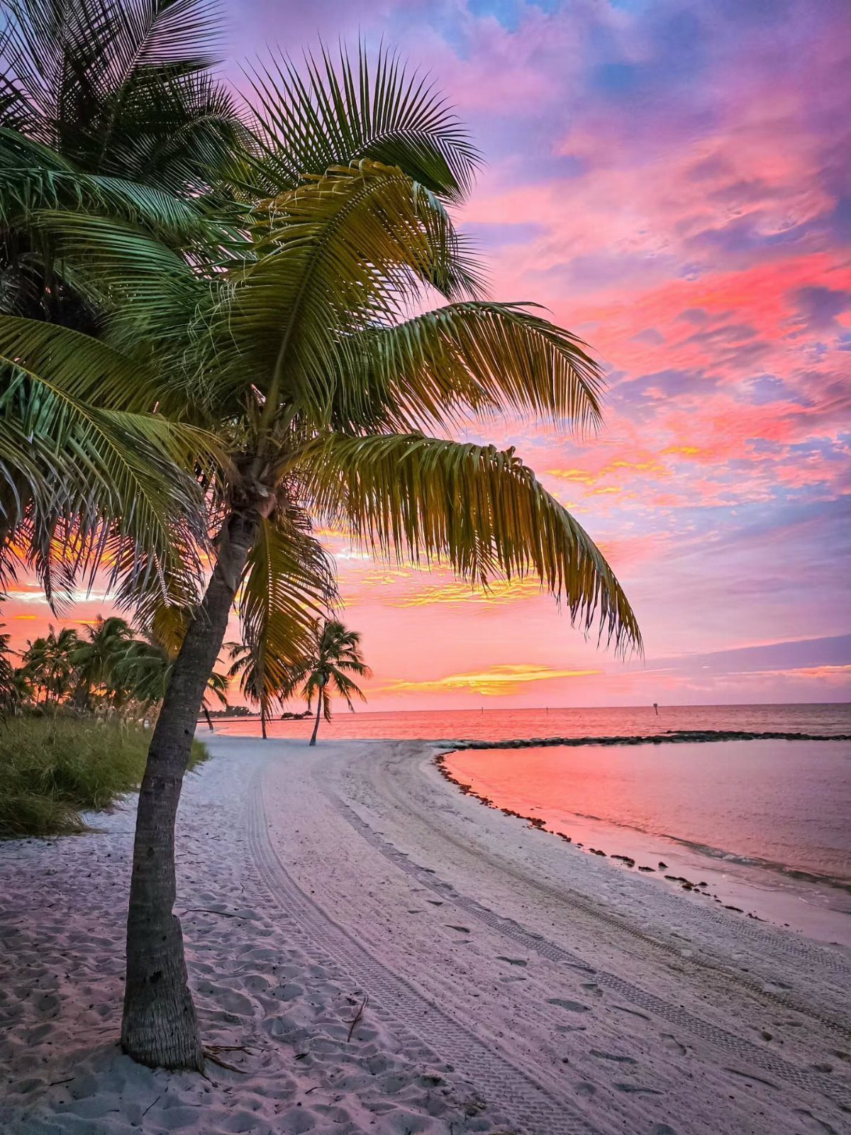 Prettiest Place to Visit: 21 Ideas Around the World 17 Tropical beach with palm trees under a vibrant pink and orange sunset sky.