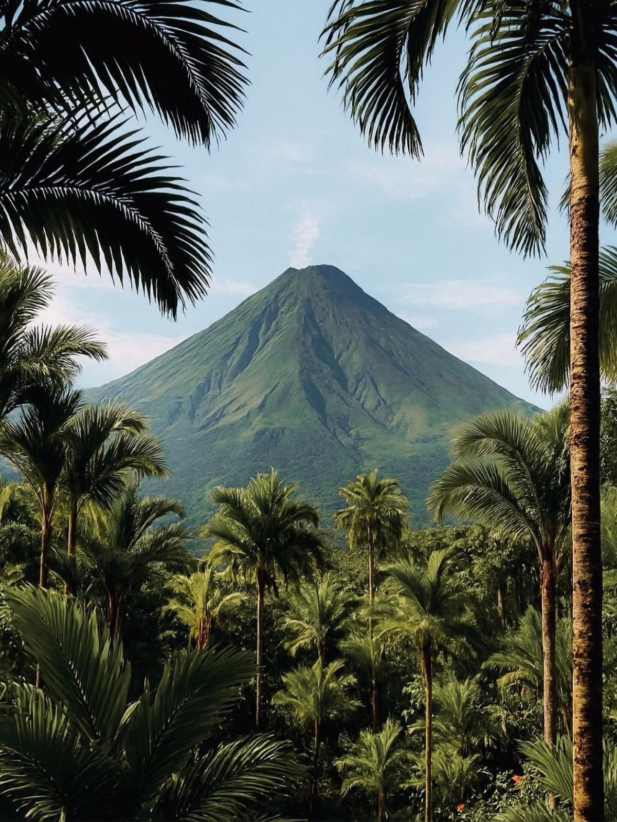 13 Pretty Countries to Visit for Coasts, Peaks and Ruins 12 Conical green volcano rising above a lush tropical rainforest with many palm trees.