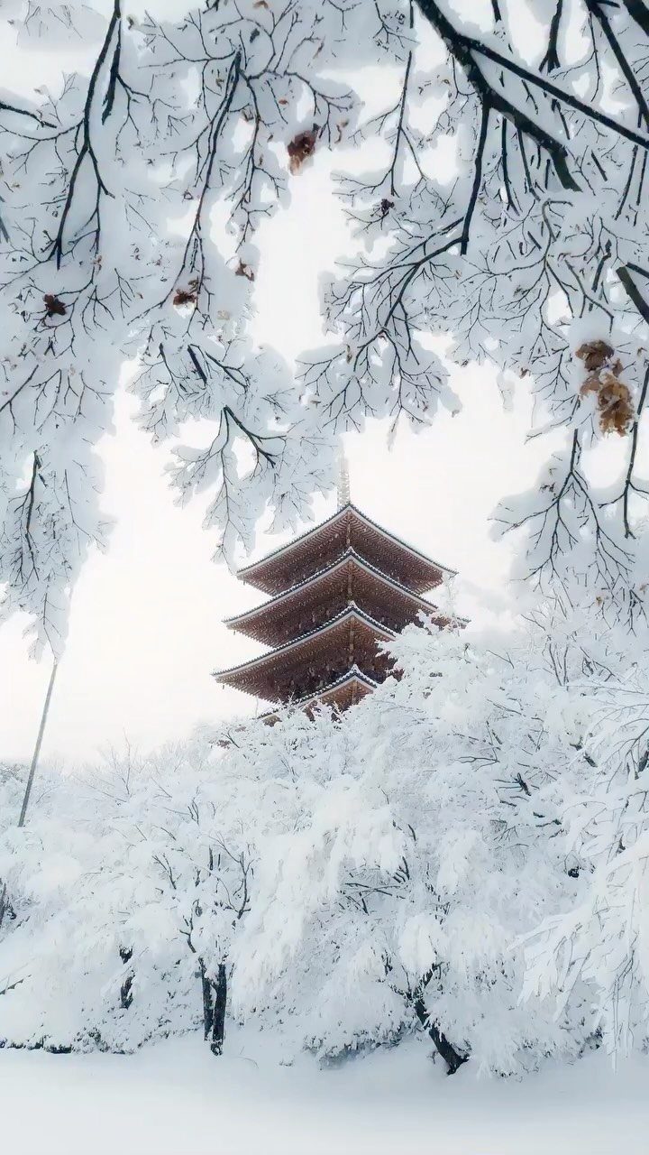 13 Pretty Countries to Visit for Coasts, Peaks and Ruins 5 Japanese pagoda with tiered roofs seen through snow-covered trees and white bushes.