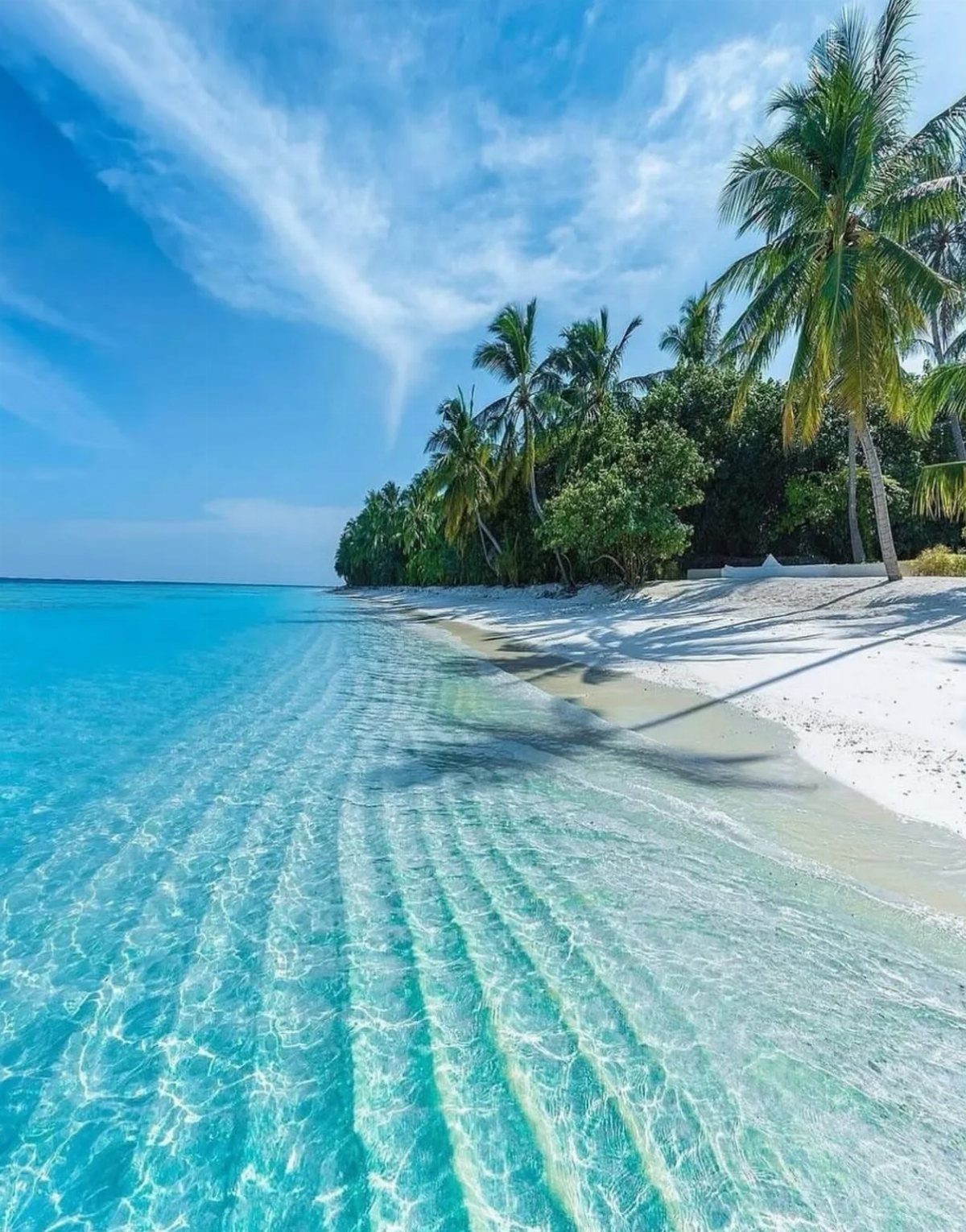 13 Pretty Countries to Visit for Coasts, Peaks and Ruins 13 White sandy beach with turquoise water and palm trees under a blue sky.