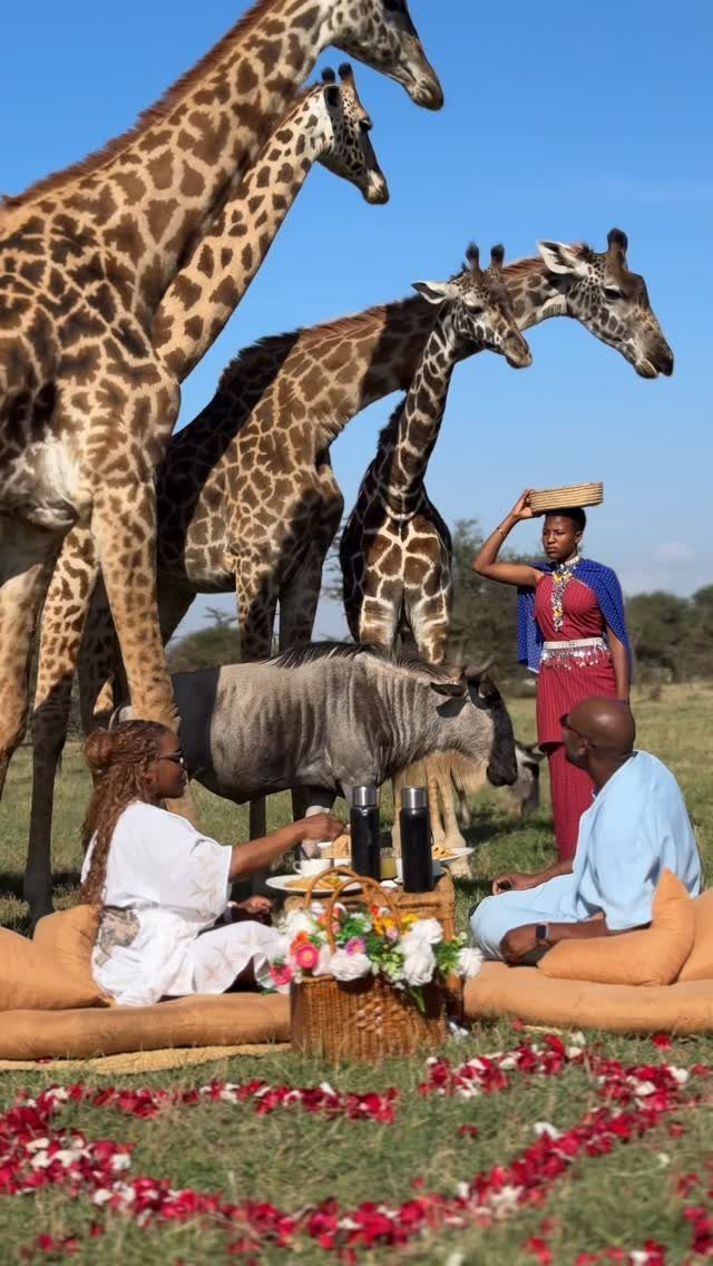 13 Pretty Countries to Visit for Coasts, Peaks and Ruins 8 Giraffes and a zebra near a couple having a picnic on a savanna.