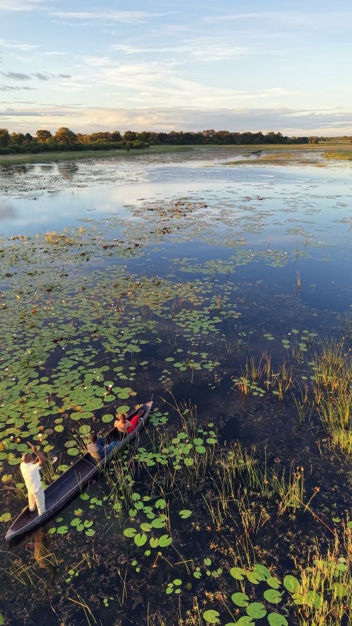 26 Pretty Places Around the World, From Fjords to Falls 25 Canoe with passengers navigating a river filled with lily pads in a delta.
