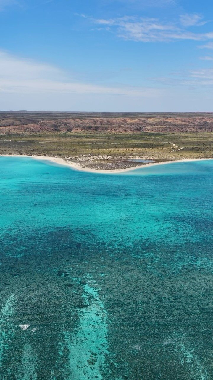 14 Pretty Places in Australia, from Reefs to Wine Regions 11 Turquoise ocean waters with coral reefs meeting a white sandy beach and arid coastline.