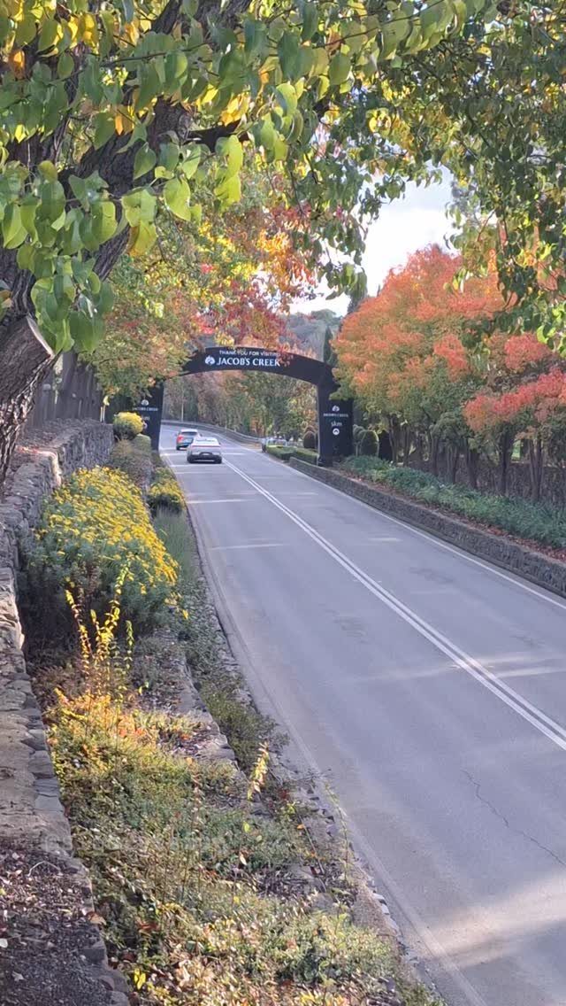 14 Pretty Places in Australia, from Reefs to Wine Regions 10 Road leading under a Jacob's Creek archway surrounded by colorful autumn trees.