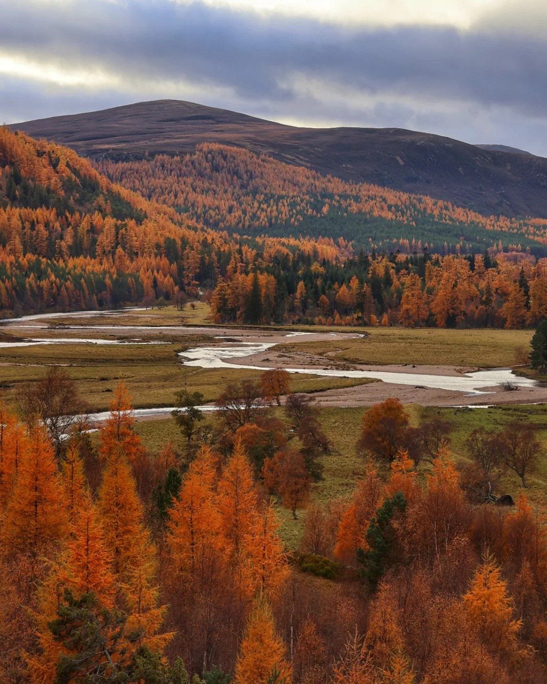 Winding river flowing through autumn forests with rolling mountains in the background.