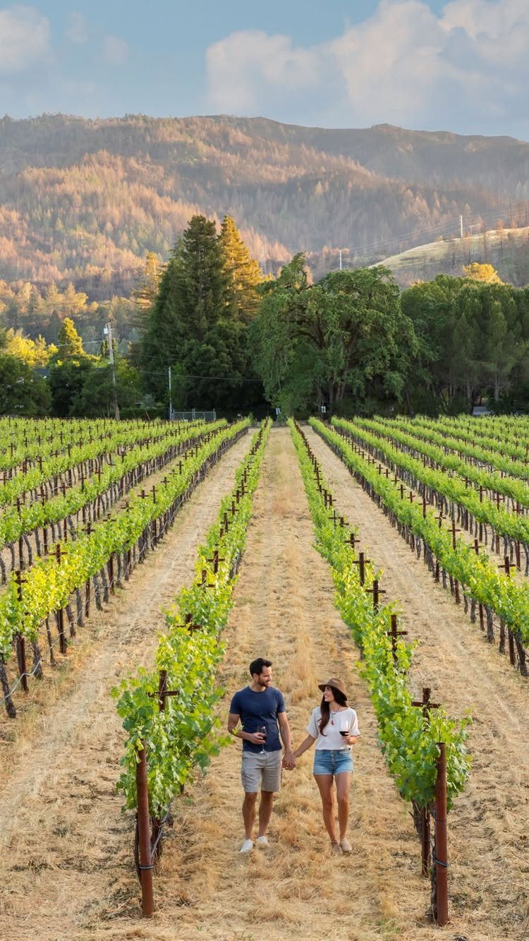 Couple walking hand in hand through rows of a lush green vineyard